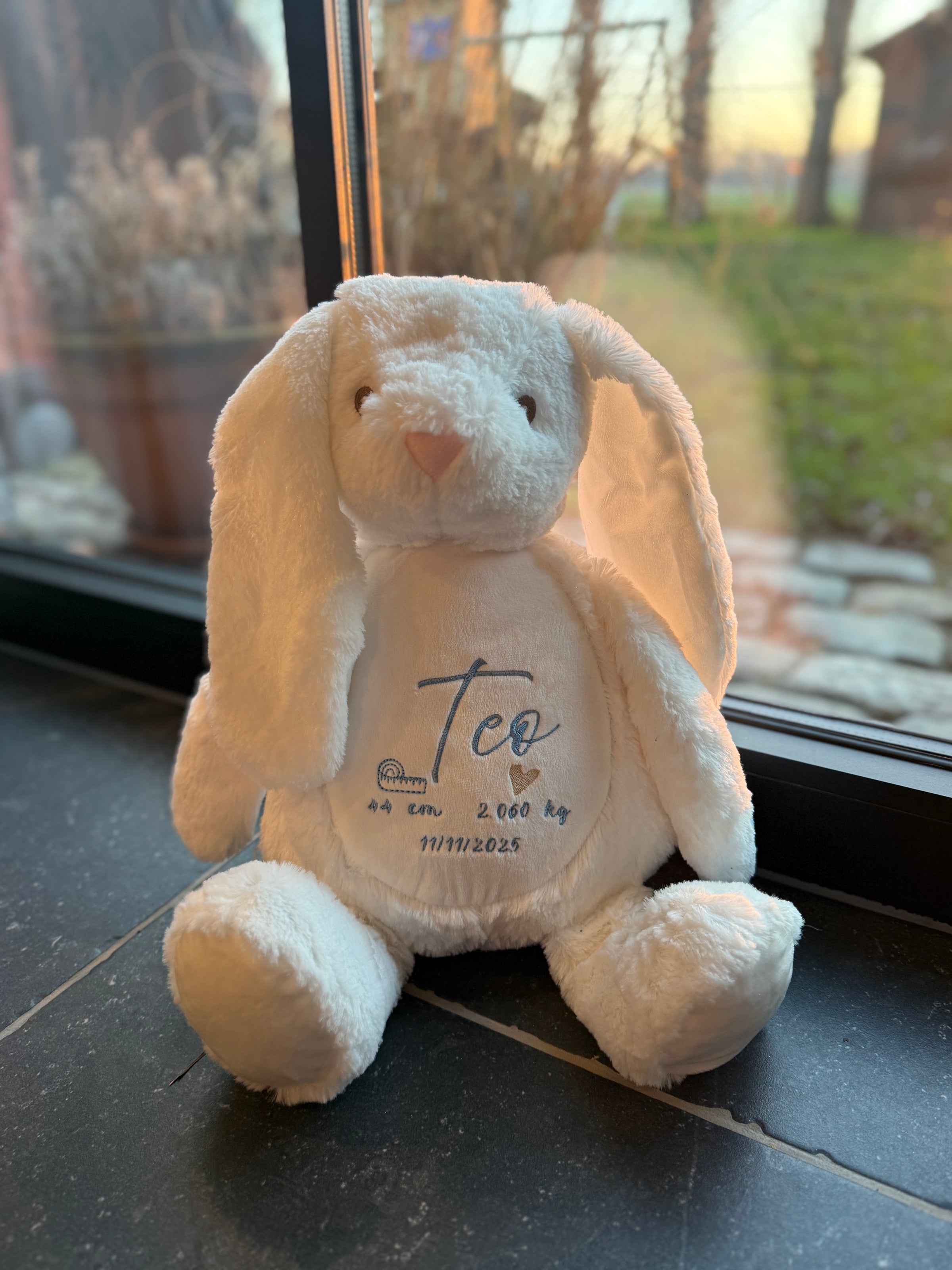 Geboortegegevens Borduren