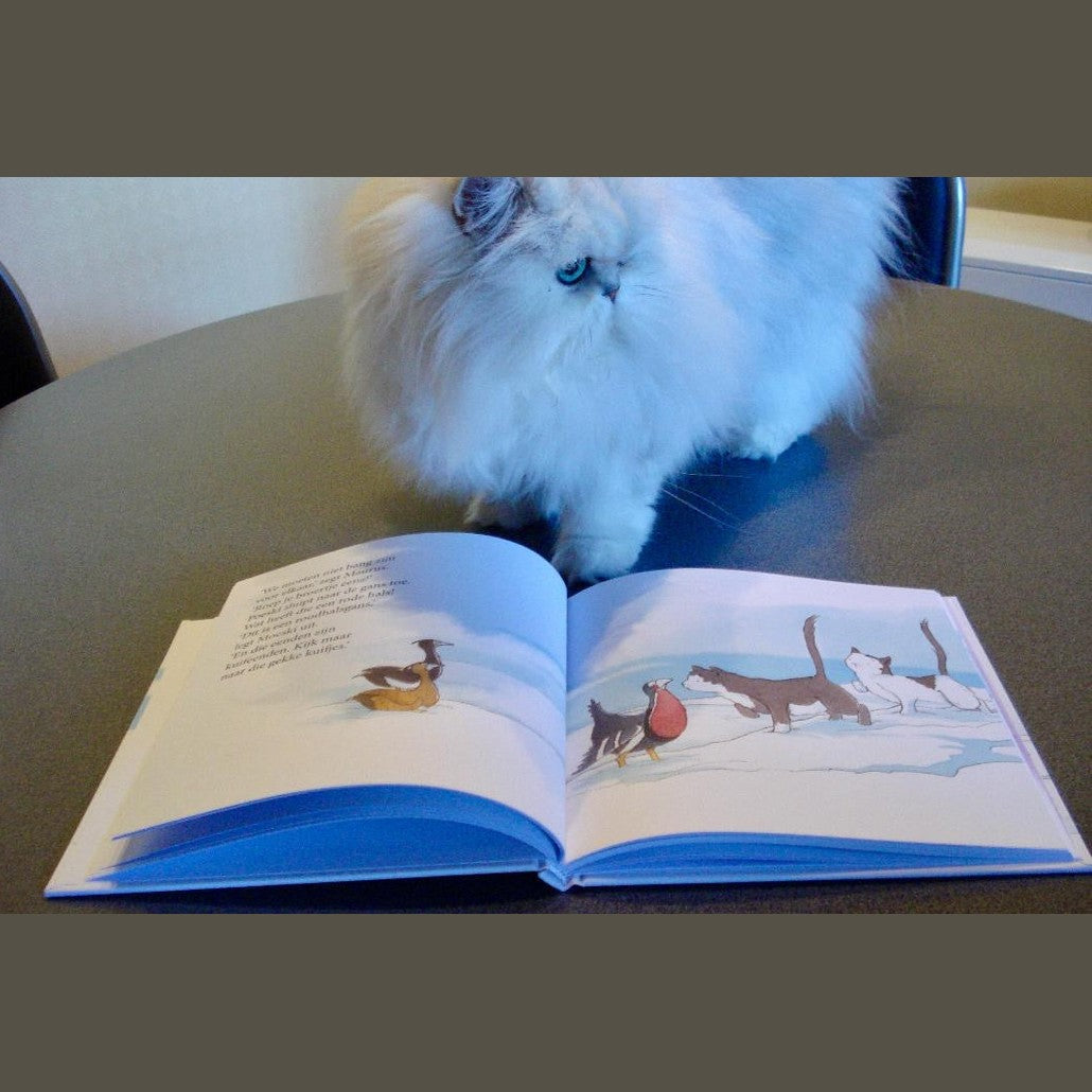 Kinderboek Poeski & Moeski zoeken een thuis Caro B Handmade - Signature Collection