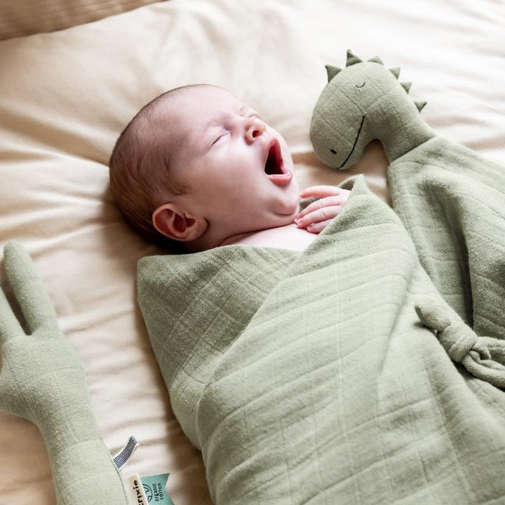 Trixie Deken met Naam - Borduren - 75x100cm - Babydeken - Bliss Trixie