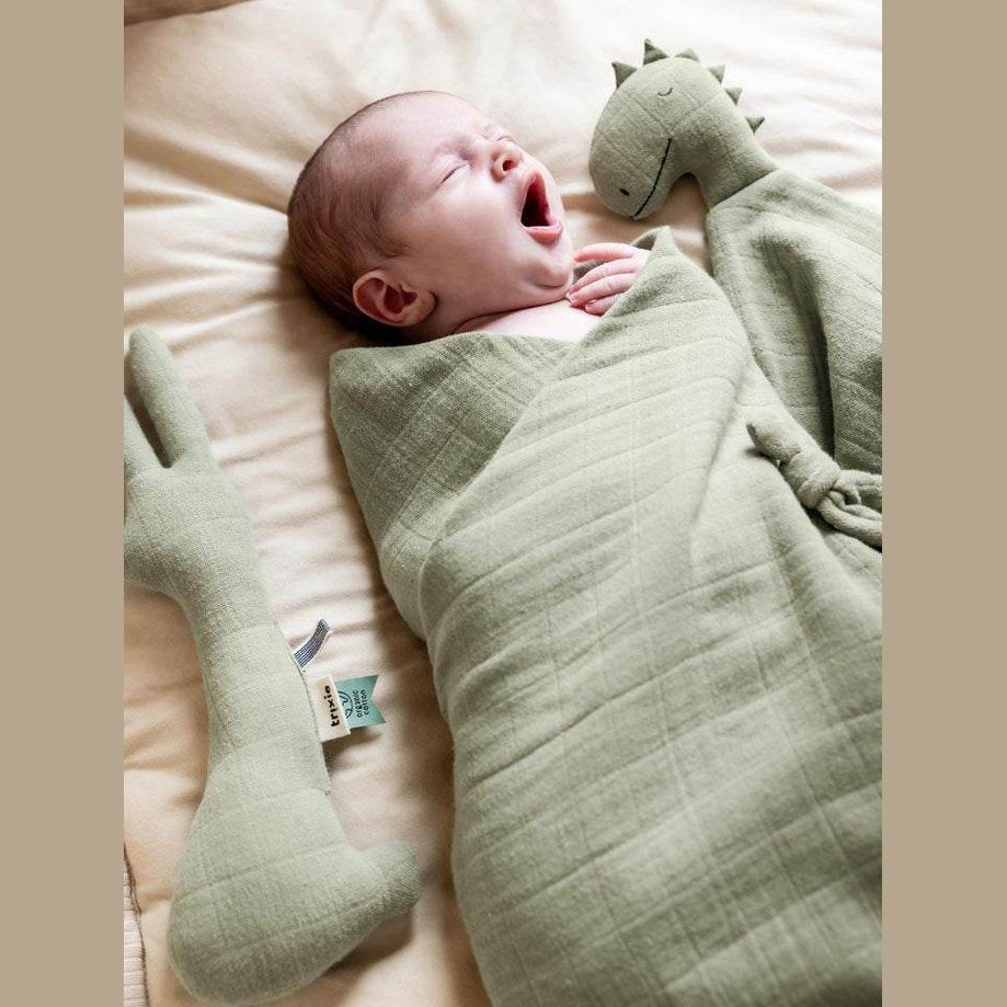 Trixie Knuffeldoekje met Naam - Borduren - Bliss Sage - Mr. Dino - Caro B Handmade