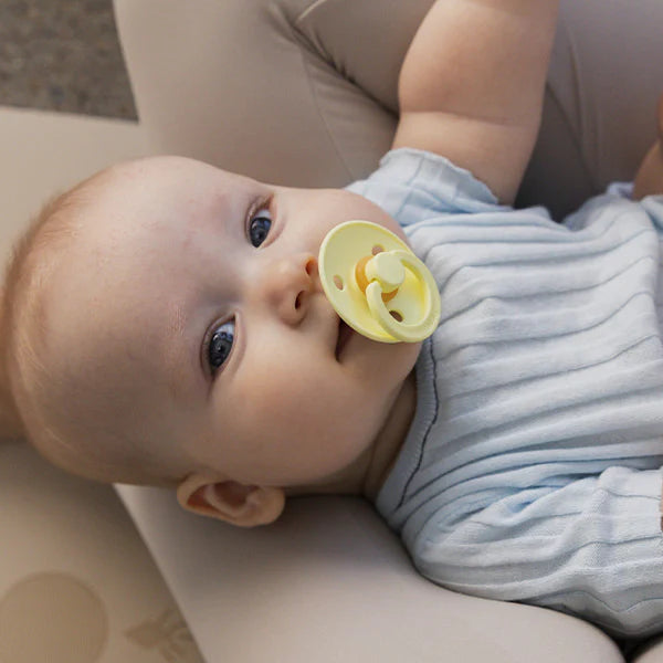 BIBS Colour Fopspenen - Pacifiers BIBS