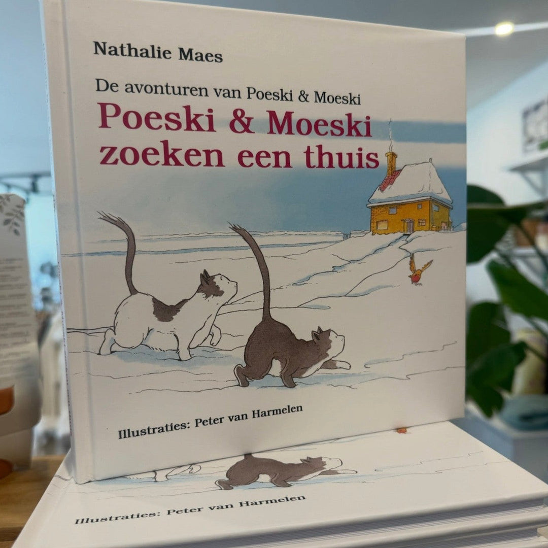 Cover van Poeski & Moeski zoeken een thuis: twee katten in een besneeuwd landschap met een huis en een gans.